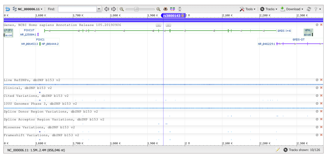 The top SNP rs3800143 lies in an intron of GMDS